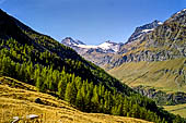 L'alta Val di Rhemes con in fondo il Granta Parey (3387 m).